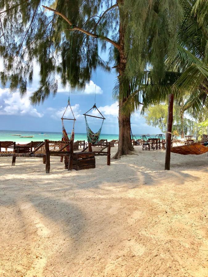 Simba Beach Zanzibar Kiwengwa  Eksteriør billede