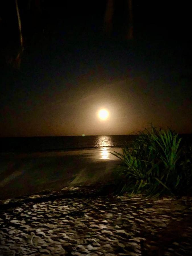 Simba Beach Zanzibar Kiwengwa  Eksteriør billede