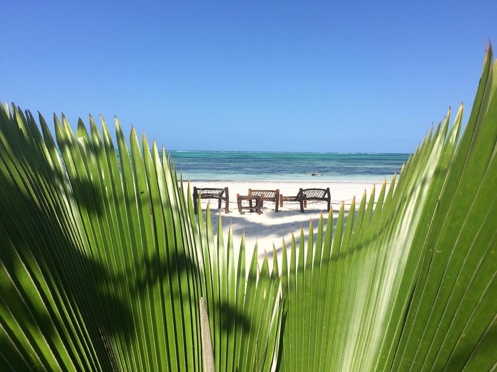 Simba Beach Zanzibar Kiwengwa  Eksteriør billede