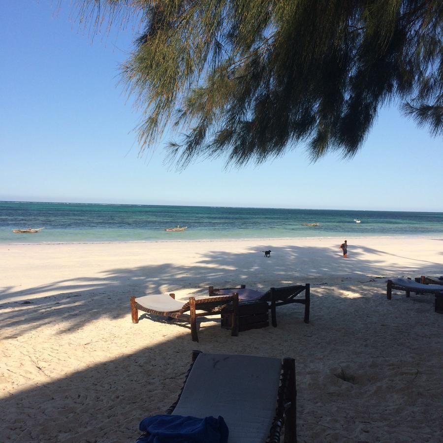 Simba Beach Zanzibar Kiwengwa  Eksteriør billede