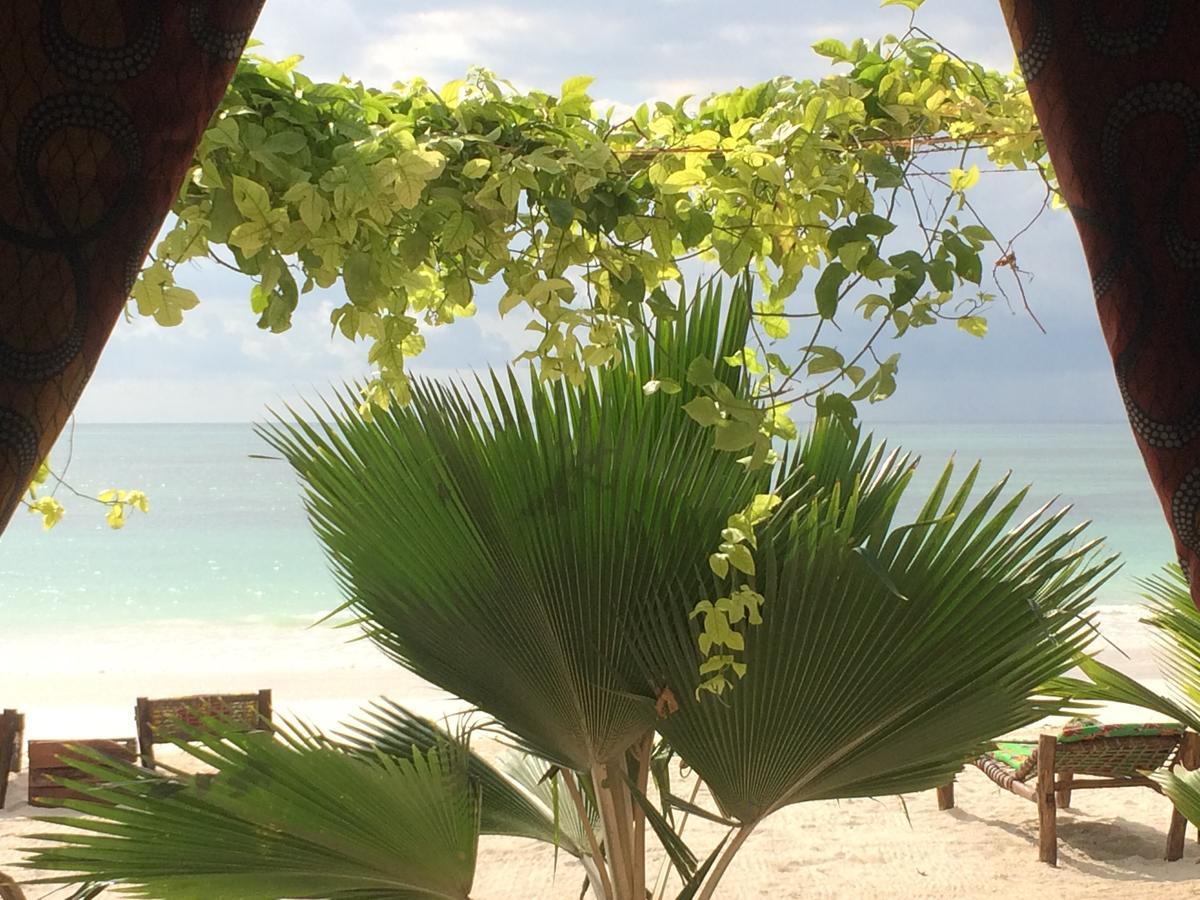 Simba Beach Zanzibar Kiwengwa  Eksteriør billede