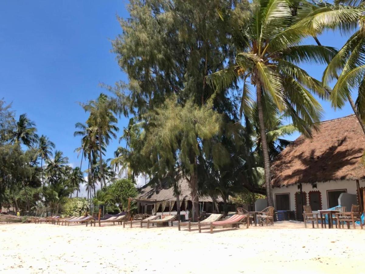 Simba Beach Zanzibar Kiwengwa  Eksteriør billede