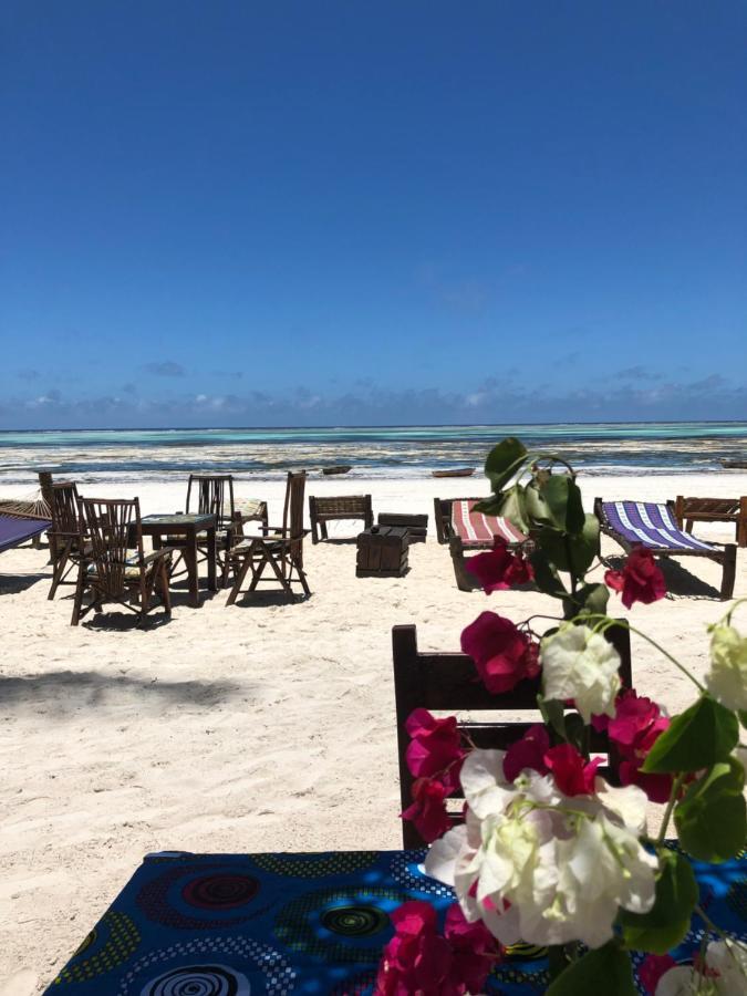 Simba Beach Zanzibar Kiwengwa  Eksteriør billede