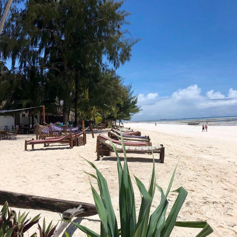 Simba Beach Zanzibar Kiwengwa  Eksteriør billede