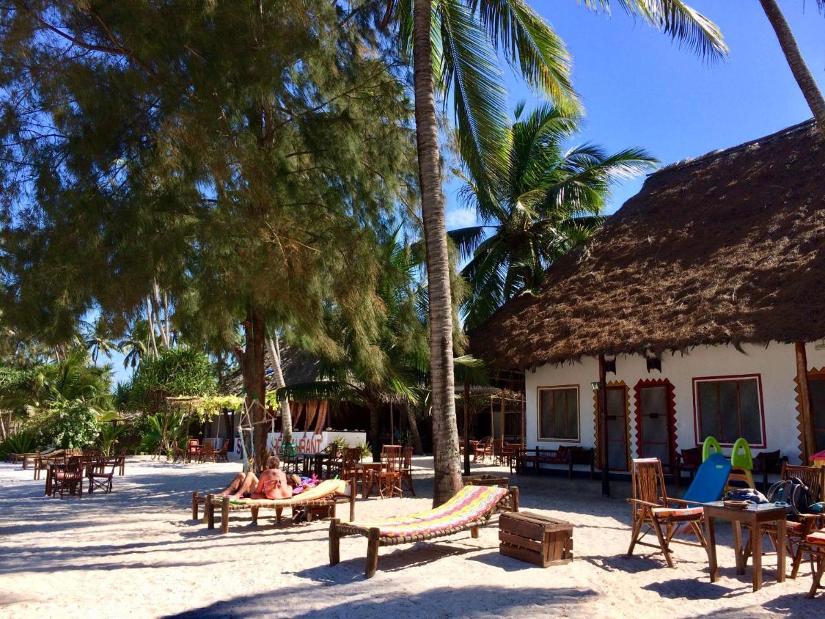 Simba Beach Zanzibar Kiwengwa  Eksteriør billede